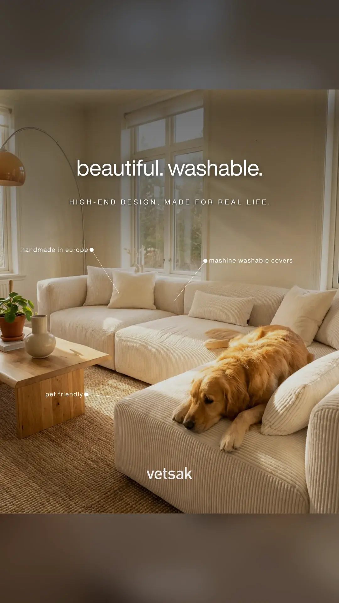 vetsak-Anzeige: heller Sofa-Aufbau mit Hund, Schriftzug beautiful washable